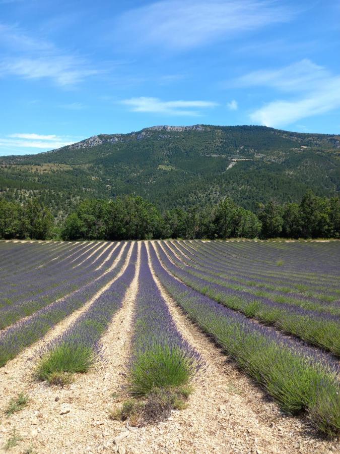 La Plume Du Ventoux Studio * Mollans-sur-Ouvèze